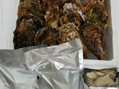 ご家庭向け商品