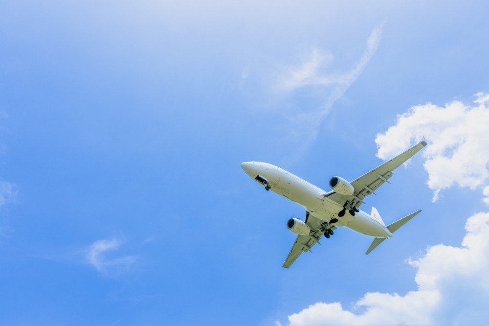 「空飛ぶ牡蠣」とは？