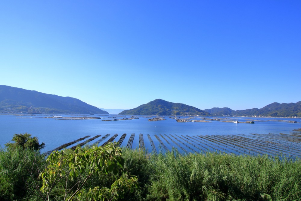 本場・広島の海が育てる、自然の恵み。濃厚な旨みをそのままお届けいたします。