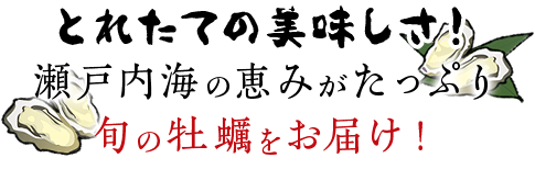 とれたての美味しさ！瀬戸内海の恵みがたっぷり　旬の牡蠣をお届け！