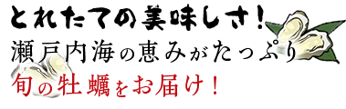 とれたての美味しさ！瀬戸内海の恵みがたっぷり　旬の牡蠣をお届け！